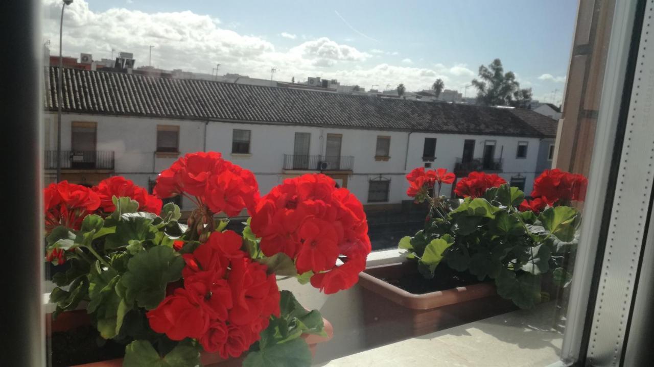 Hotel Abadi Córdoba Buitenkant foto