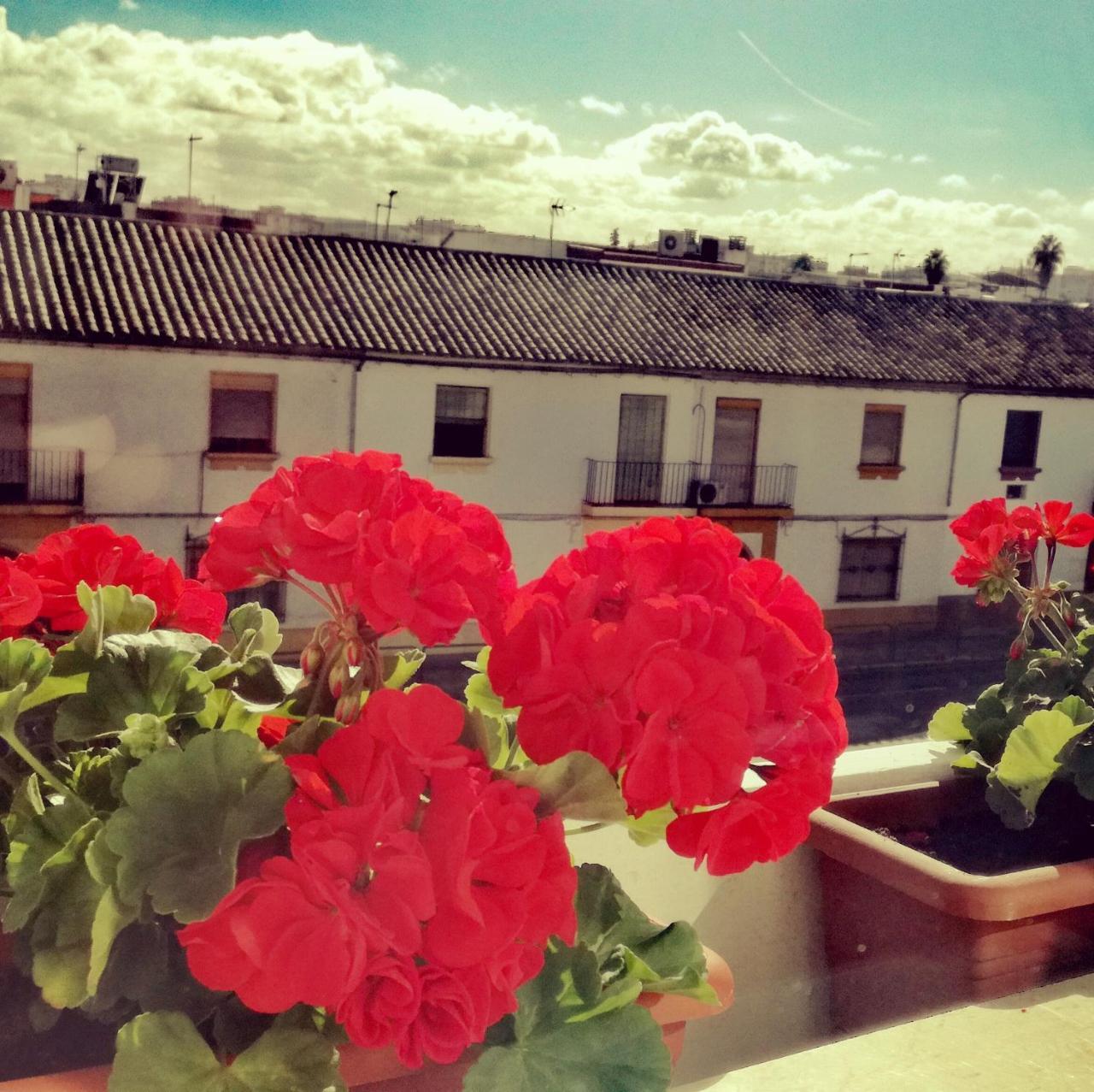 Hotel Abadi Córdoba Buitenkant foto